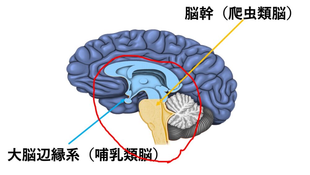 潜在意識と顕在意識の特徴と違い 行動できる自分を作り出す方法 知のブログ
